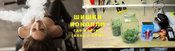 ПСИЛОЦИБИНОВЫЕ ГРИБЫ Верея