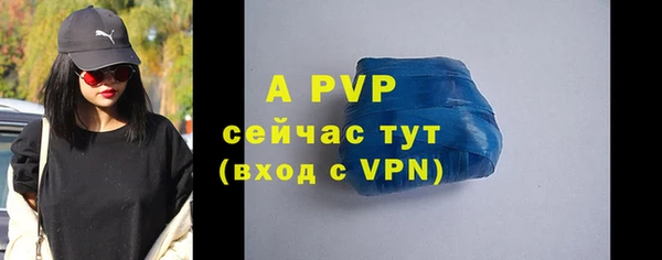 ПСИЛОЦИБИНОВЫЕ ГРИБЫ Верея