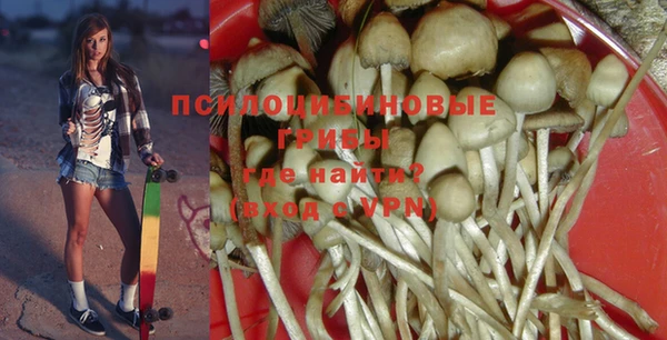 ПСИЛОЦИБИНОВЫЕ ГРИБЫ Верея