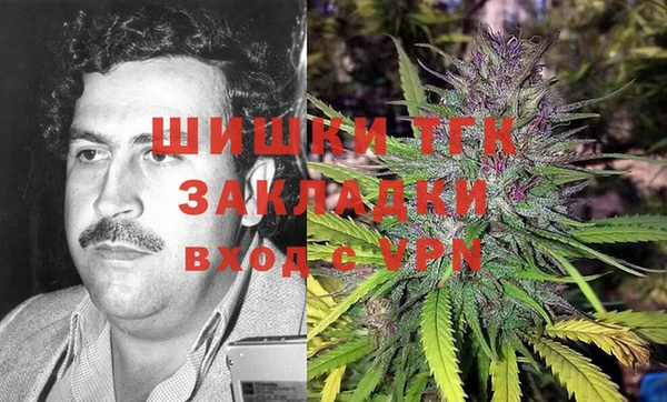 ПСИЛОЦИБИНОВЫЕ ГРИБЫ Верея