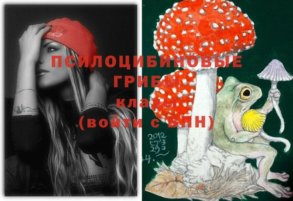 ПСИЛОЦИБИНОВЫЕ ГРИБЫ Верея