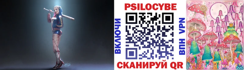 Купить закладки  Славск  Галлюциногенные грибы MAGIC MUSHROOMS 